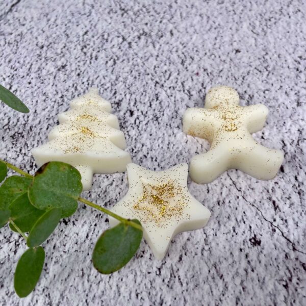 naravni diseci voski zima